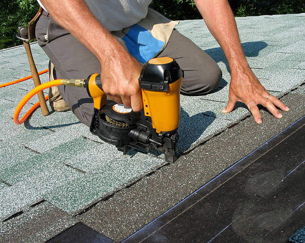 Best Roof Waterproofing Services  in Warren, MI