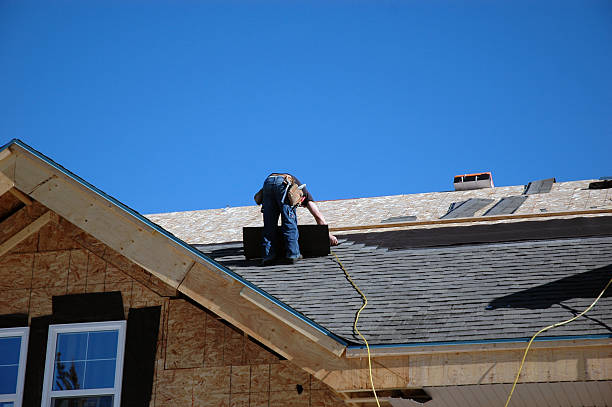 Best Storm Damage Roof Repair  in Warren, MI